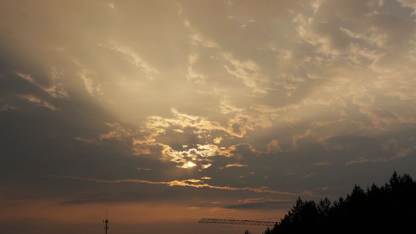 dsc00430.jpg