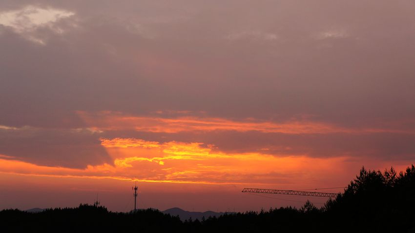 dsc00483.jpg