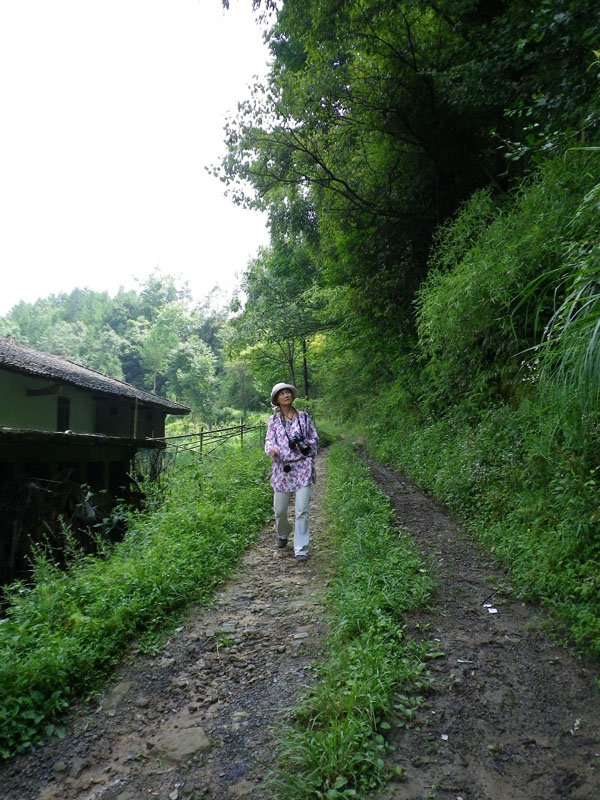 imgp4731.jpg