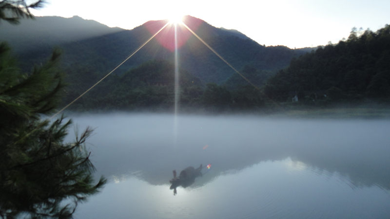 dsc01216_.jpg