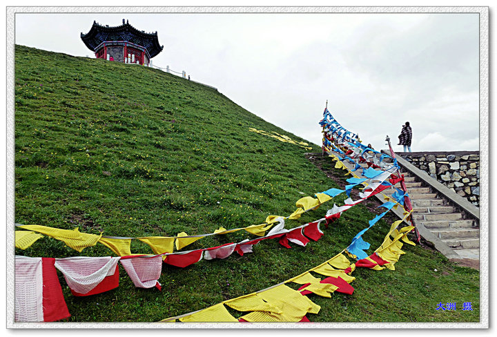 p1020116.jpg