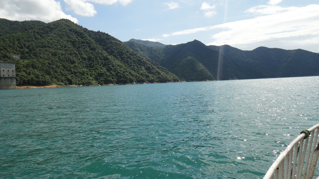 dsc01231.jpg