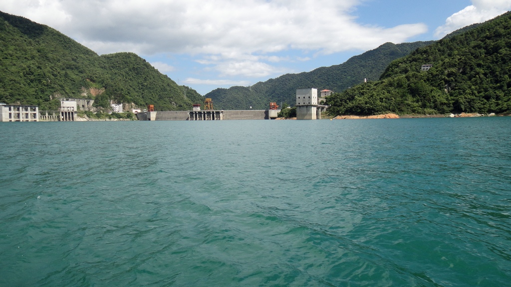 dsc01237.jpg