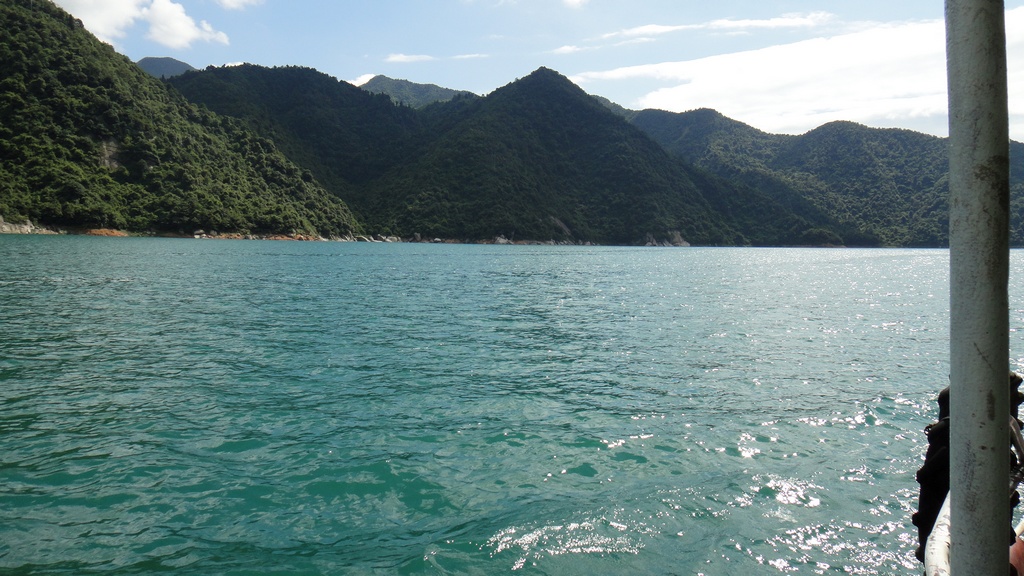 dsc01238.jpg