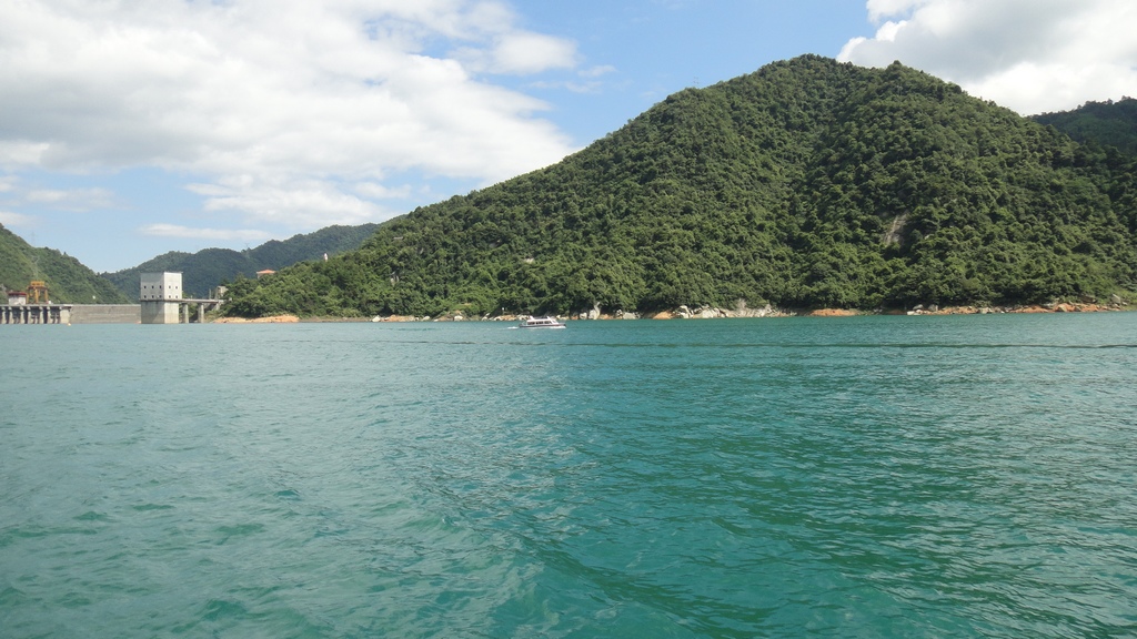 dsc01242.jpg