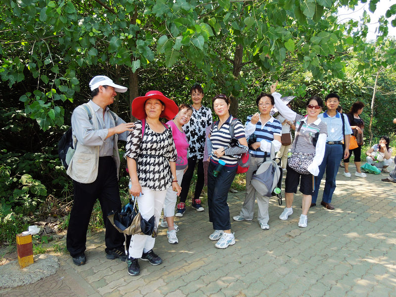 dscn1715.jpg