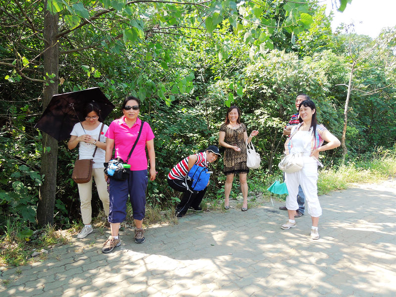 dscn1717.jpg