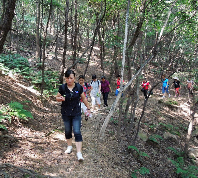 dscn1731.jpg