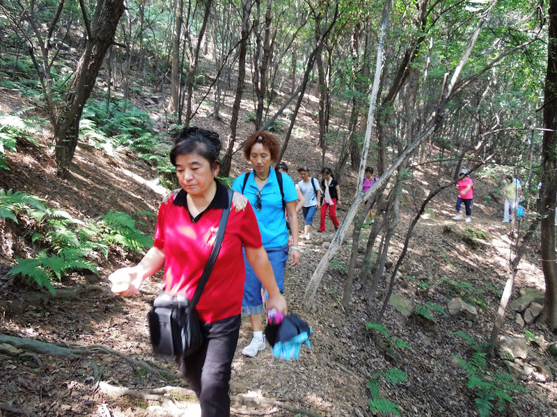 dscn1732.jpg