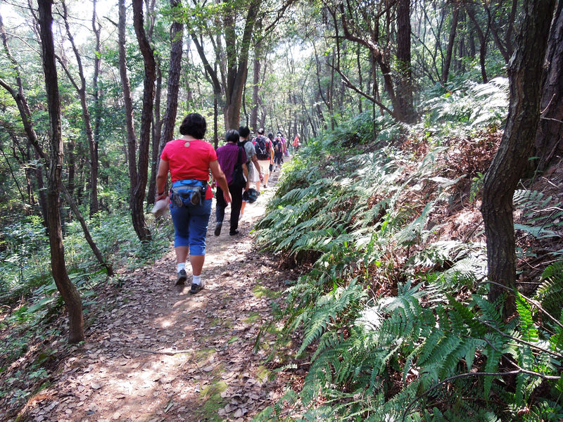 dscn1733.jpg