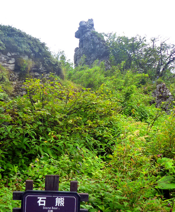 p1120190_.jpg