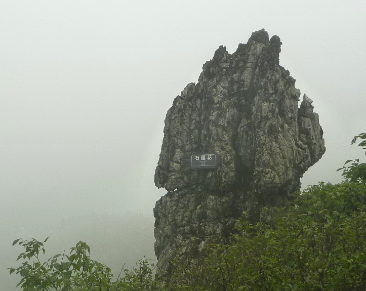 p1120193_.jpg