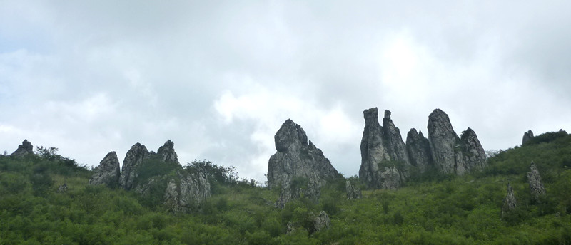 p1120194_.jpg