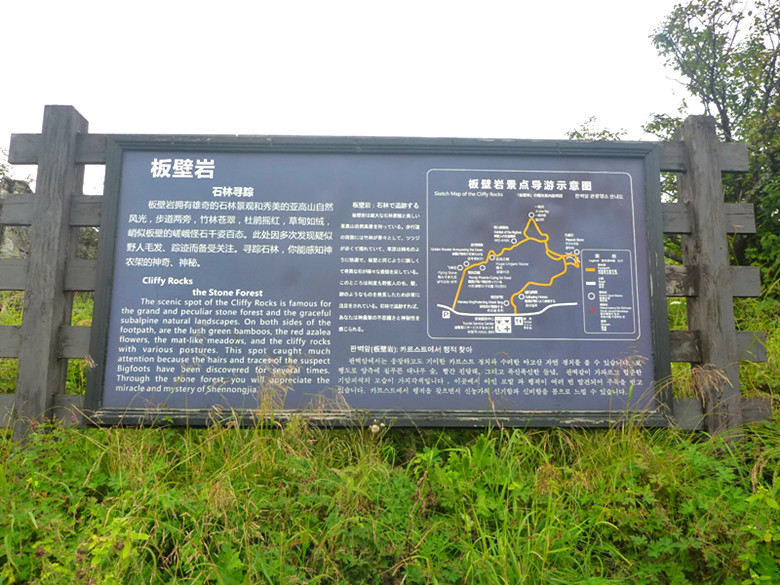 p1120195_.jpg