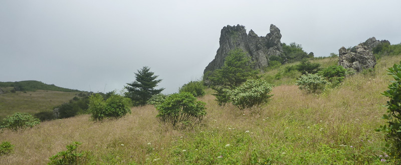 p1120199_.jpg