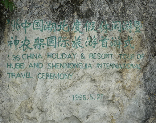p1120200_.jpg