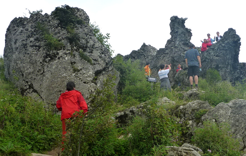 p1120202_.jpg