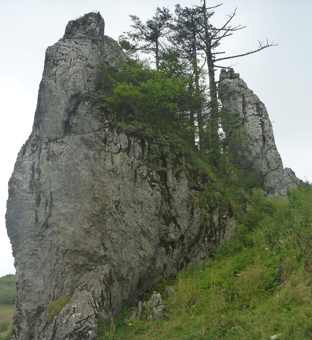 p1120203_.jpg