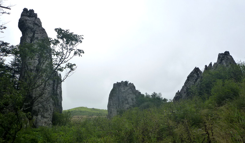 p1120205_.jpg