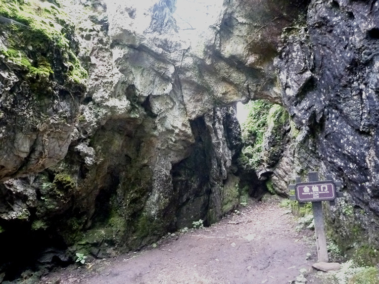 p1120218_.jpg