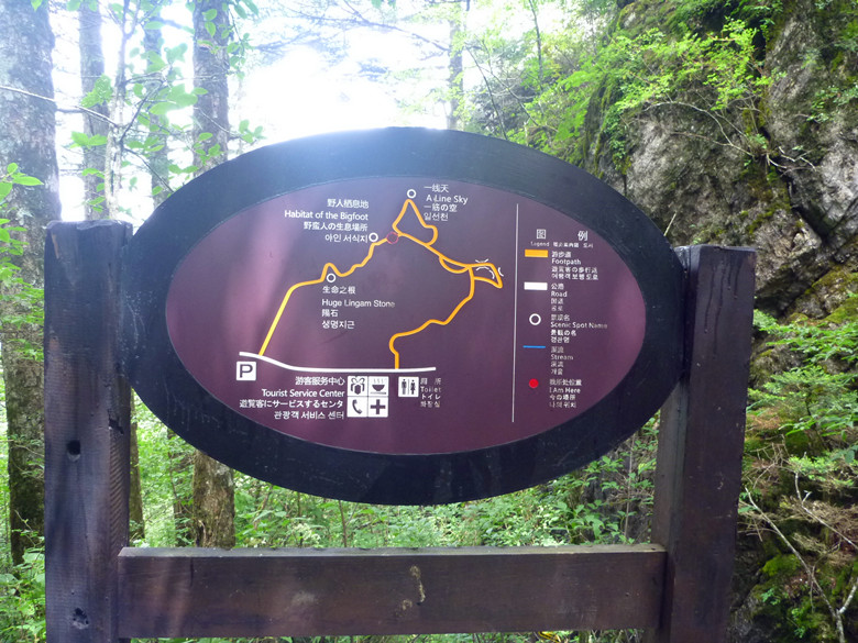 p1120228_.jpg