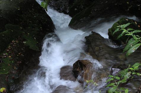 _mg_0005.jpg