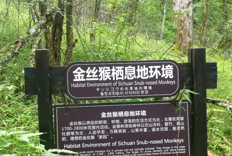 p1120154_.jpg