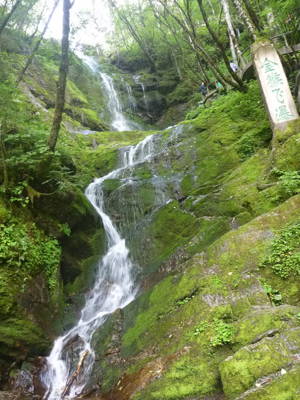 p1120169_.jpg