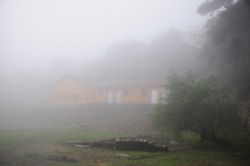 77.jpg