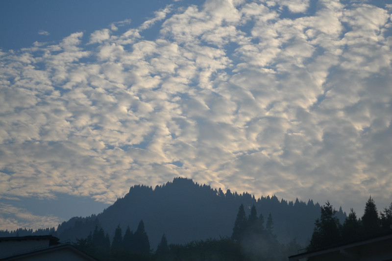 dsc_0072.jpg