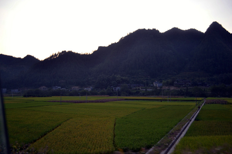 dsc_0050.jpg