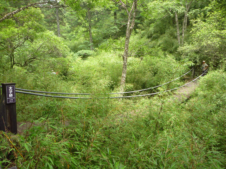 p1120263__.jpg