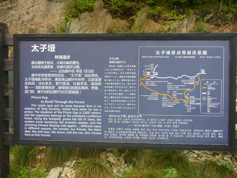 p1120271_.jpg