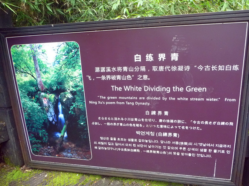p1120266_.jpg