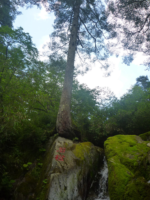 p1120265_.jpg