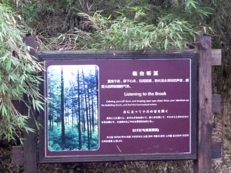 p1120269_.jpg