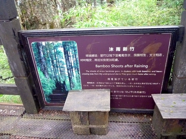 p1120259_.jpg