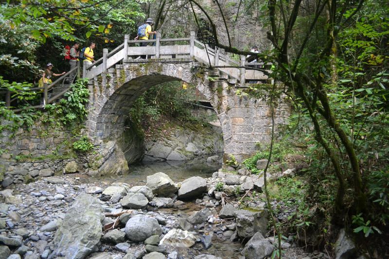dsc_0237.jpg