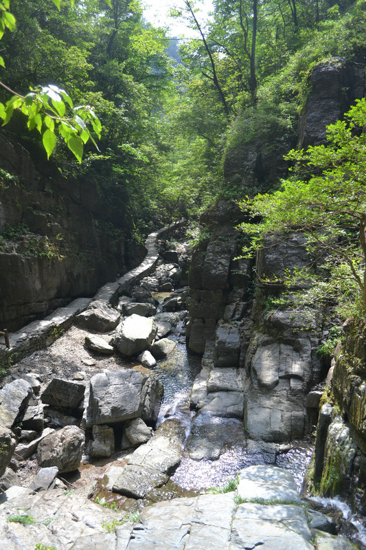dsc_0266.jpg