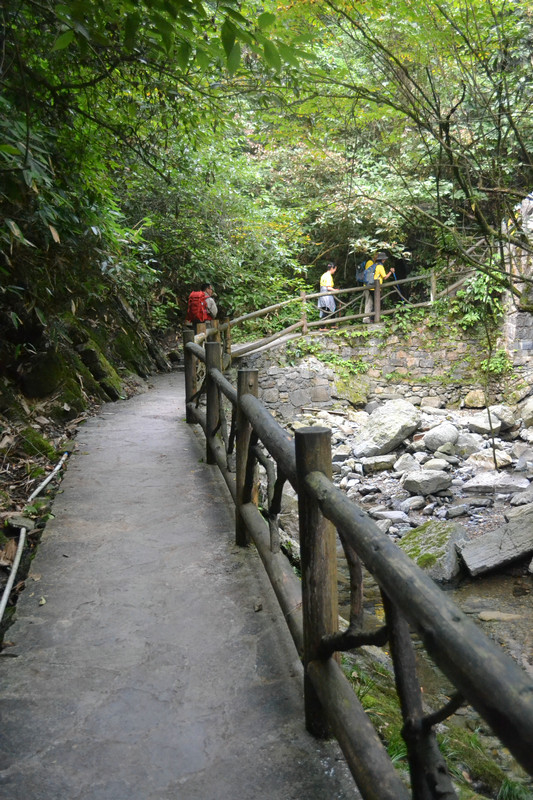 dsc_0236.jpg