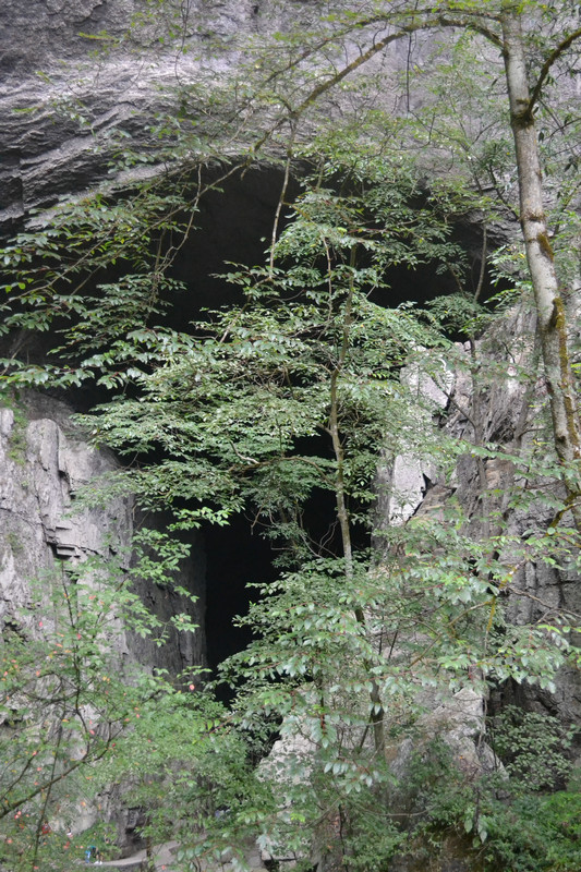 dsc_0281.jpg