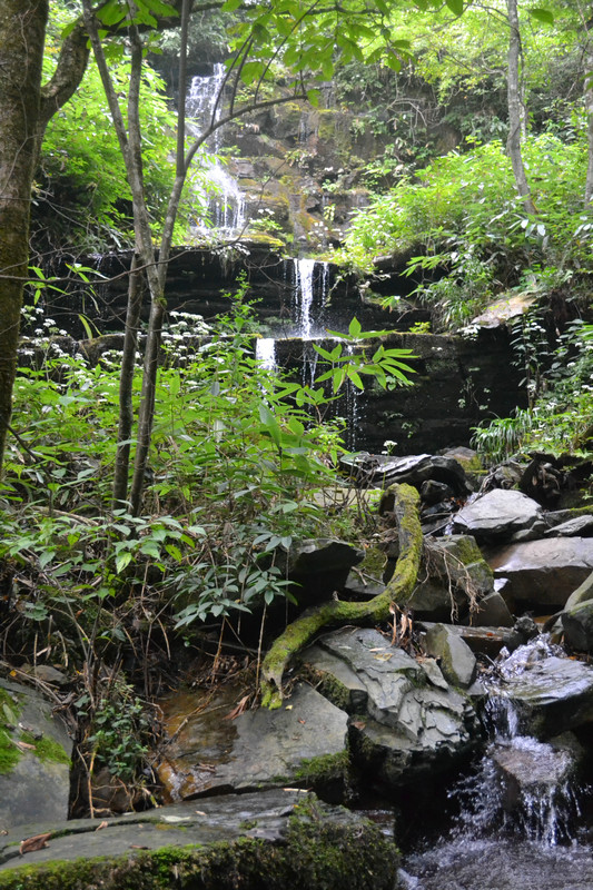 dsc_0312.jpg
