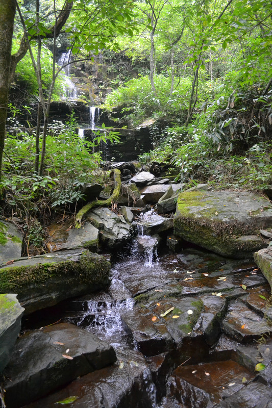 dsc_0313.jpg
