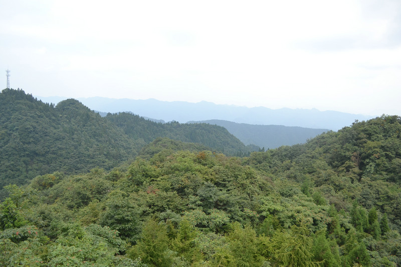 dsc_0317.jpg