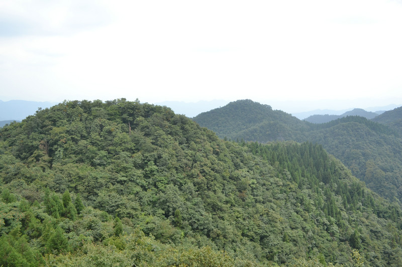 dsc_0318.jpg