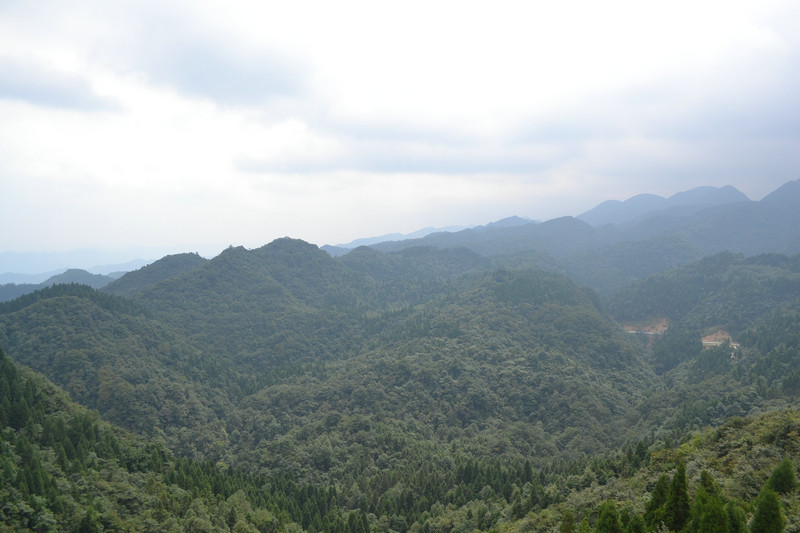 dsc_0320.jpg