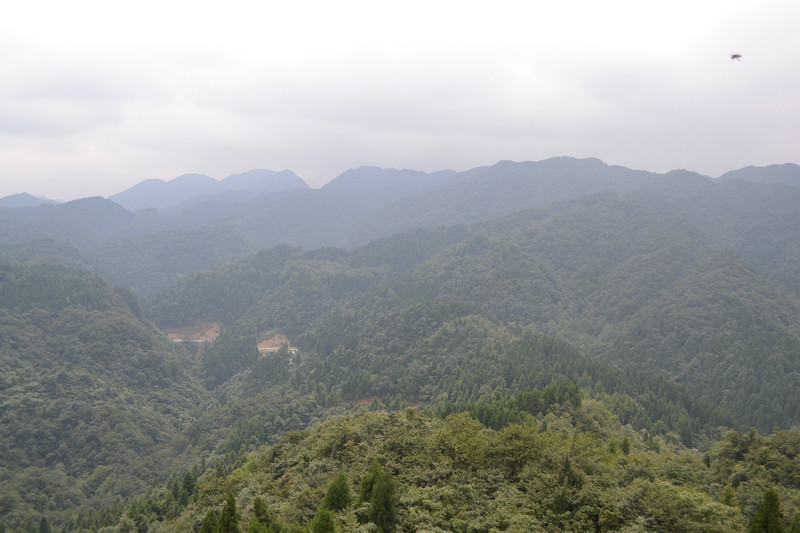 dsc_0321.jpg