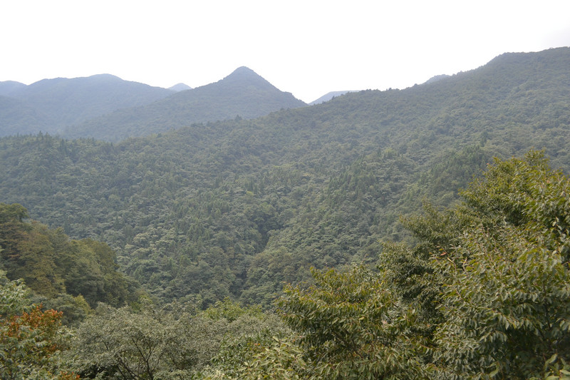 dsc_0373.jpg