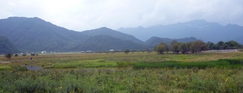 p1120292_.jpg