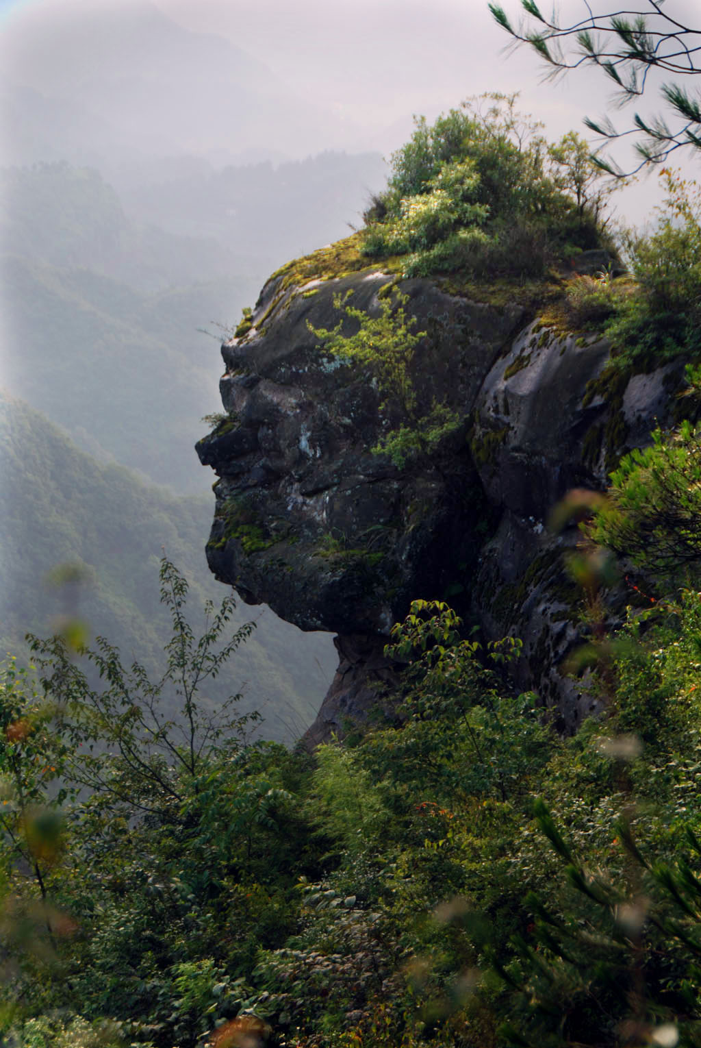 p14.jpg